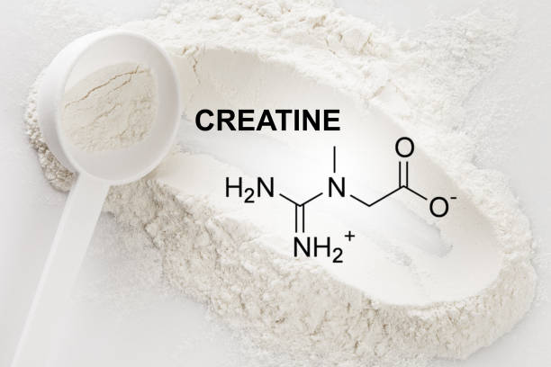 Creatine, not just for lifters