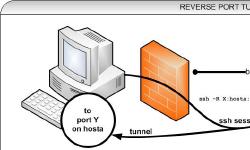 Featured image of post Persistent Reverse SSH Tunnel with SSH Keys